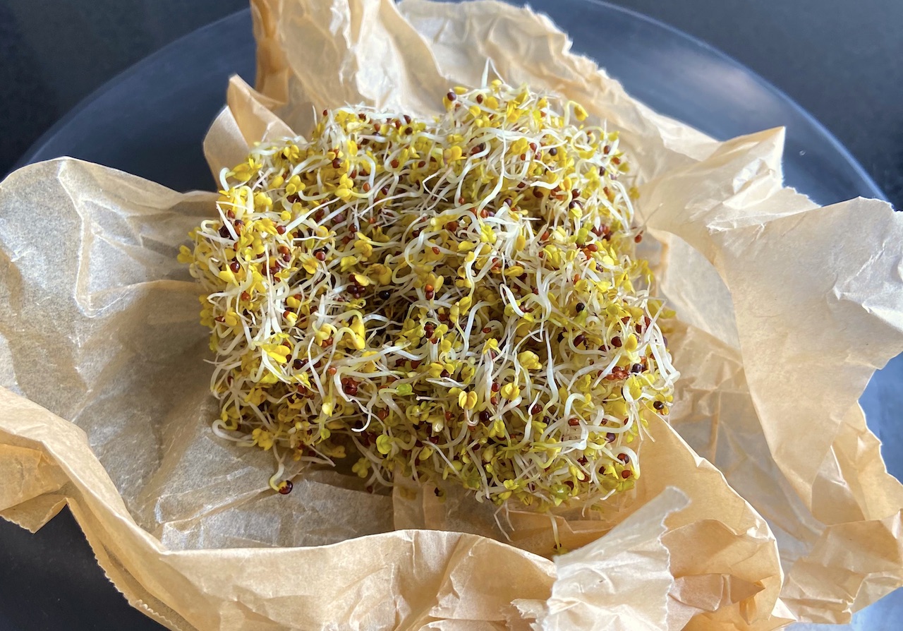 Broccoli Sprouts